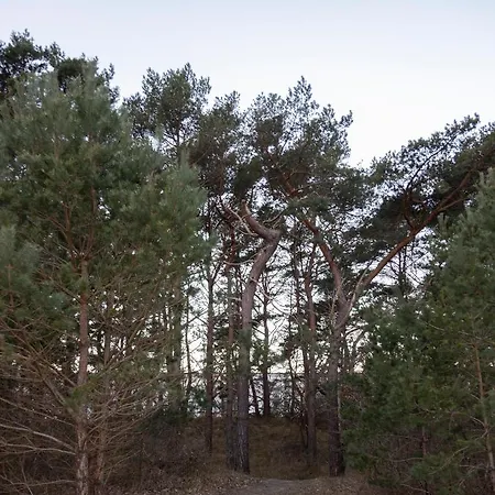 Luxus-maisonette Fuer Grosse Familie Mit Direktem Strandzugang