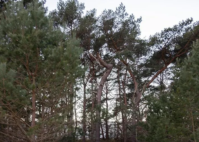 Luxus-maisonette Fuer Grosse Familie Mit Direktem Strandzugang